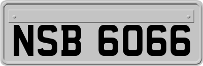 NSB6066