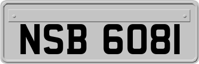 NSB6081