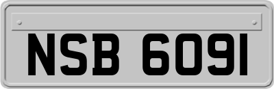 NSB6091