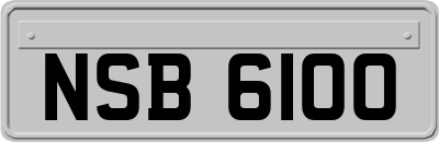 NSB6100