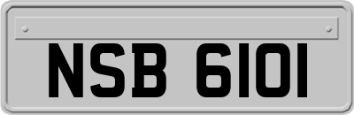 NSB6101