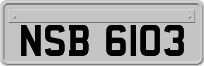 NSB6103