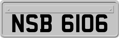 NSB6106