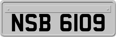 NSB6109