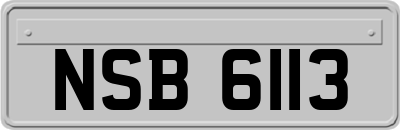 NSB6113