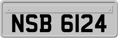 NSB6124