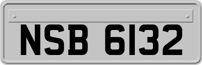 NSB6132