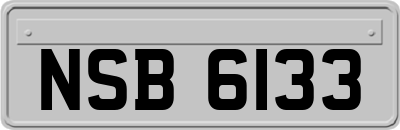 NSB6133