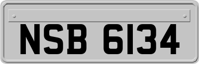 NSB6134