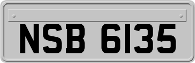 NSB6135