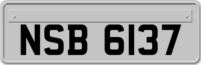 NSB6137