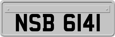 NSB6141