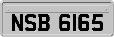 NSB6165