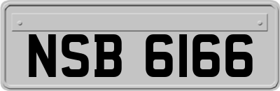 NSB6166