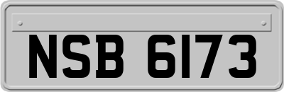 NSB6173