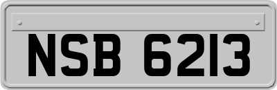 NSB6213