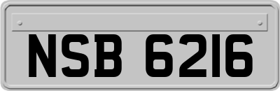 NSB6216