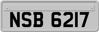 NSB6217