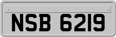 NSB6219