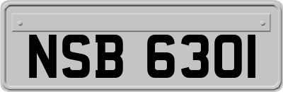 NSB6301