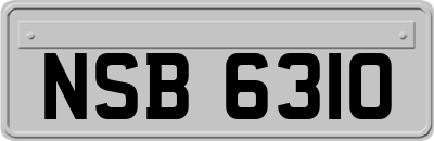 NSB6310