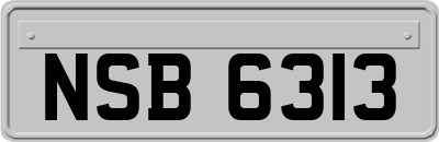 NSB6313