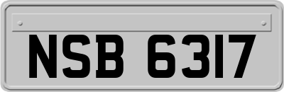 NSB6317