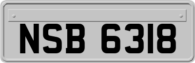 NSB6318