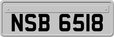 NSB6518