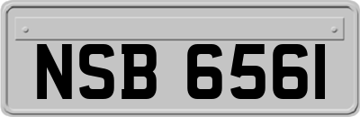 NSB6561