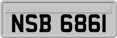 NSB6861