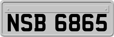 NSB6865