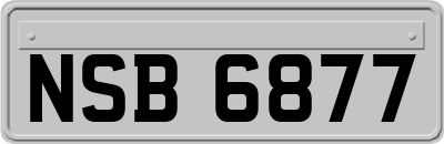 NSB6877