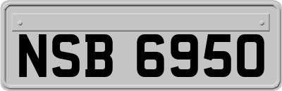 NSB6950