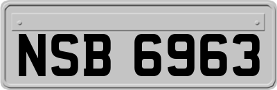 NSB6963