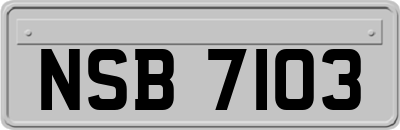 NSB7103