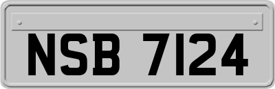 NSB7124