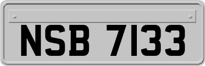 NSB7133