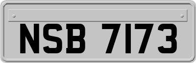 NSB7173