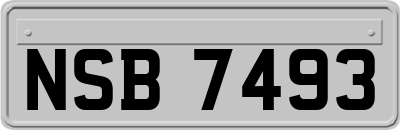 NSB7493