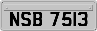 NSB7513