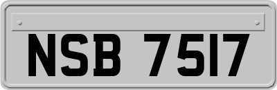 NSB7517