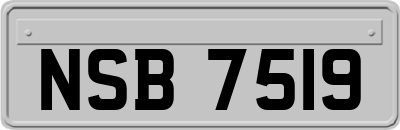 NSB7519