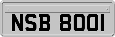 NSB8001