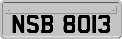 NSB8013