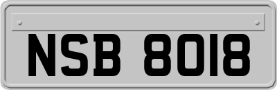 NSB8018