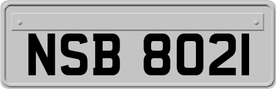 NSB8021