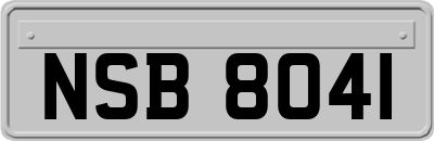 NSB8041