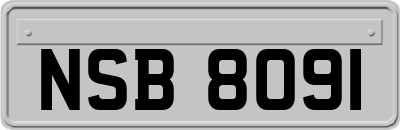 NSB8091