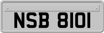 NSB8101